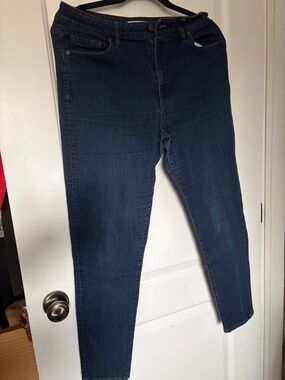 LOFT Blue Skinny Jean 29 petite